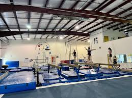 Image result for Croydon School Of Gymnastics