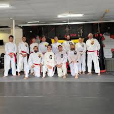 Image result for Silat Perisai Diri Classes Club