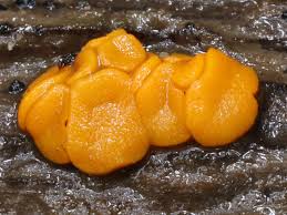 Attēlu rezultāti vaicājumam “Miladina lecithina”