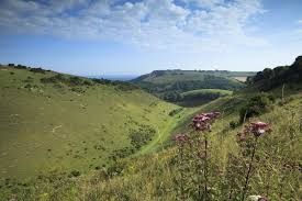 Image result for S England Dive Devil