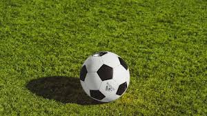 Image result for Tingley Athletic