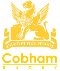 Image result for Cobham Netball Club