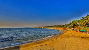 Image result for goa beaches