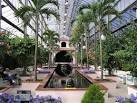 SJ6651 : The Palms Tropical - via Daymix