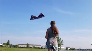 Image result for Mobius Flix Trick & Freestyle Kite Club