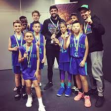 Image result for Kingston Wildcats Basketball Club