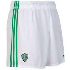 Image result for St Comgall`s G A C