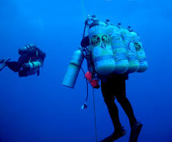 Image result for Headstream Divers