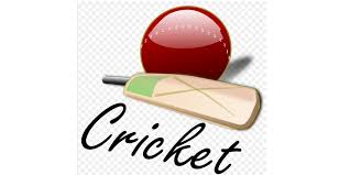 Image result for Pulborough Cricket Club