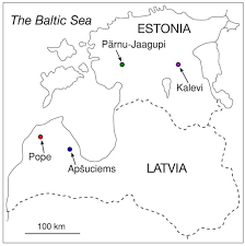 Attēlu rezultāti vaicājumam “Saussurea esthonica leaf”