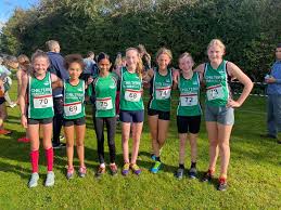 Image result for Chiltern Harriers Athletic Club
