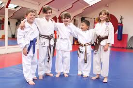 Image result for Nottingham Sankukai Karate