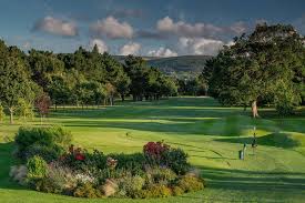 Image result for Royal Wimbledon Golf Club