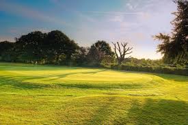 Image result for Surbiton Bowling Club