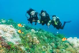 Image result for Three Seas Diving