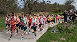 Image result for Thames Valley Harriers