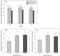 Attēlu rezultāti vaicājumam “Cnidium dubium leaf”