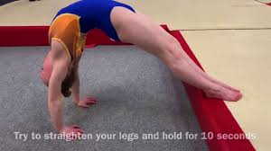 Image result for Appley Bridge Gymnastics Club