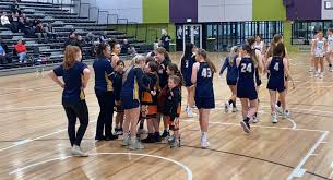 Image result for Henfield Heat Basketball Club
