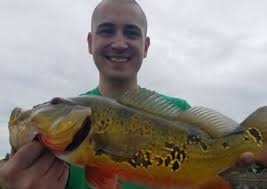 Image result for Carpiodes velifer