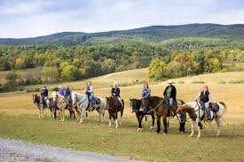 Image result for North Lammermuir Riding Club