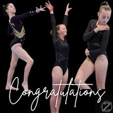 Image result for Zodiac Gymnastics Club