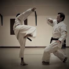 Image result for Redhill Karate Association