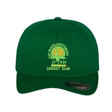 Image result for St Margaretsbury Cricket Club