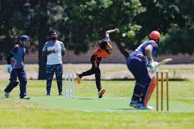 Image result for Peper Harow Cricket Club