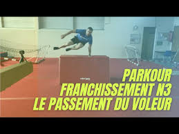 Image result for Les Voleurs Parkour Club