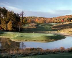 Image result for Fox Gc