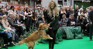 Image result for Northern Parkour Club