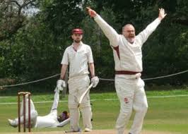Image result for Theale and Tilehurst Cricket Club