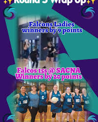 Image result for Normanton Falcons Netball Club