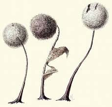 Attēlu rezultāti vaicājumam “Lamproderma arcyrioides”