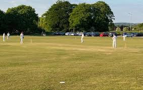 Image result for Penwortham Cricket Club