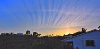 Attēlu rezultāti vaicājumam “Cirrus fibratus”