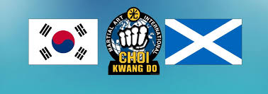 Image result for Sutton & Mitcham Choi Kwang-Do