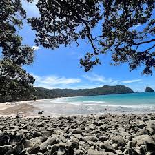 Image result for new chums beach