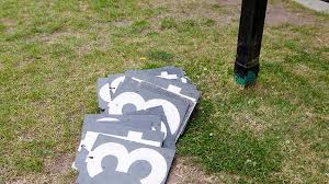 Image result for Yelverton Bohemians Cricket Club