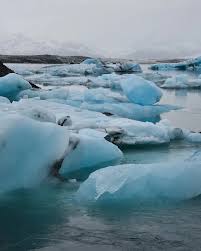 Image result for Ildblomkarse