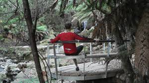 Image result for St Crispin Bowls Club