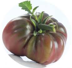 Afbeeldingsresultaat voor black elephant tomato