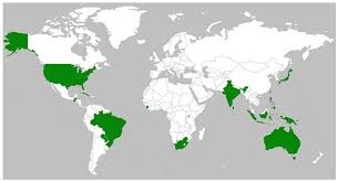Attēlu rezultāti vaicājumam “Ochropsora ariae spores”