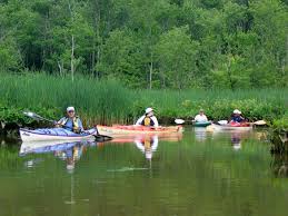 Image result for Martlet Kayak Club