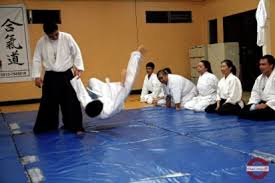 Image result for Aikido - Takama Hara Aikido Dojo