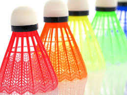 Image result for Rainbow Badminton Club