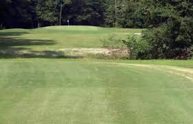 Image result for Darlington Scrabble Club