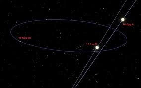 Attēlu rezultāti vaicājumam “Cygnus”