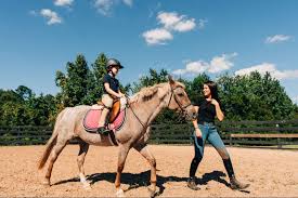 Image result for Lower Farm Stables